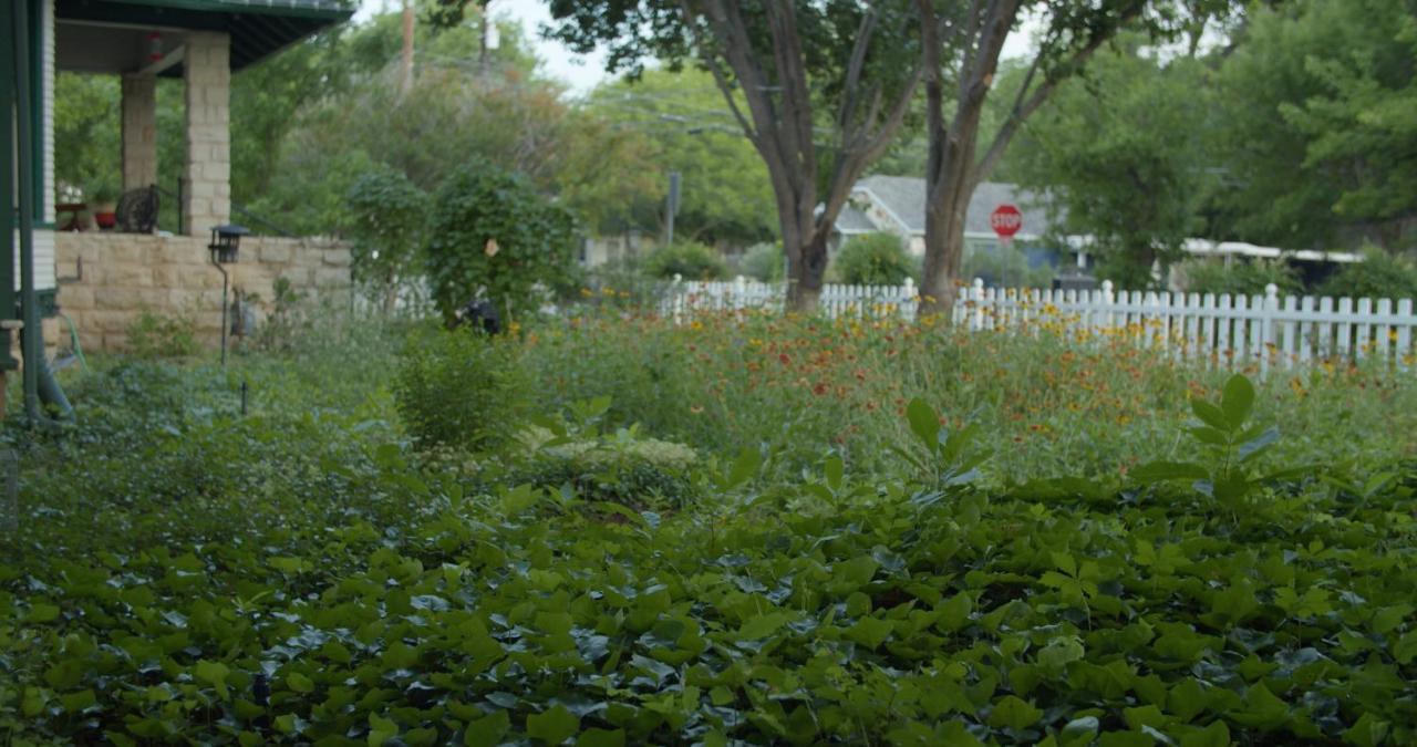 Granbury Gardens Bed And Breakfast מראה חיצוני תמונה