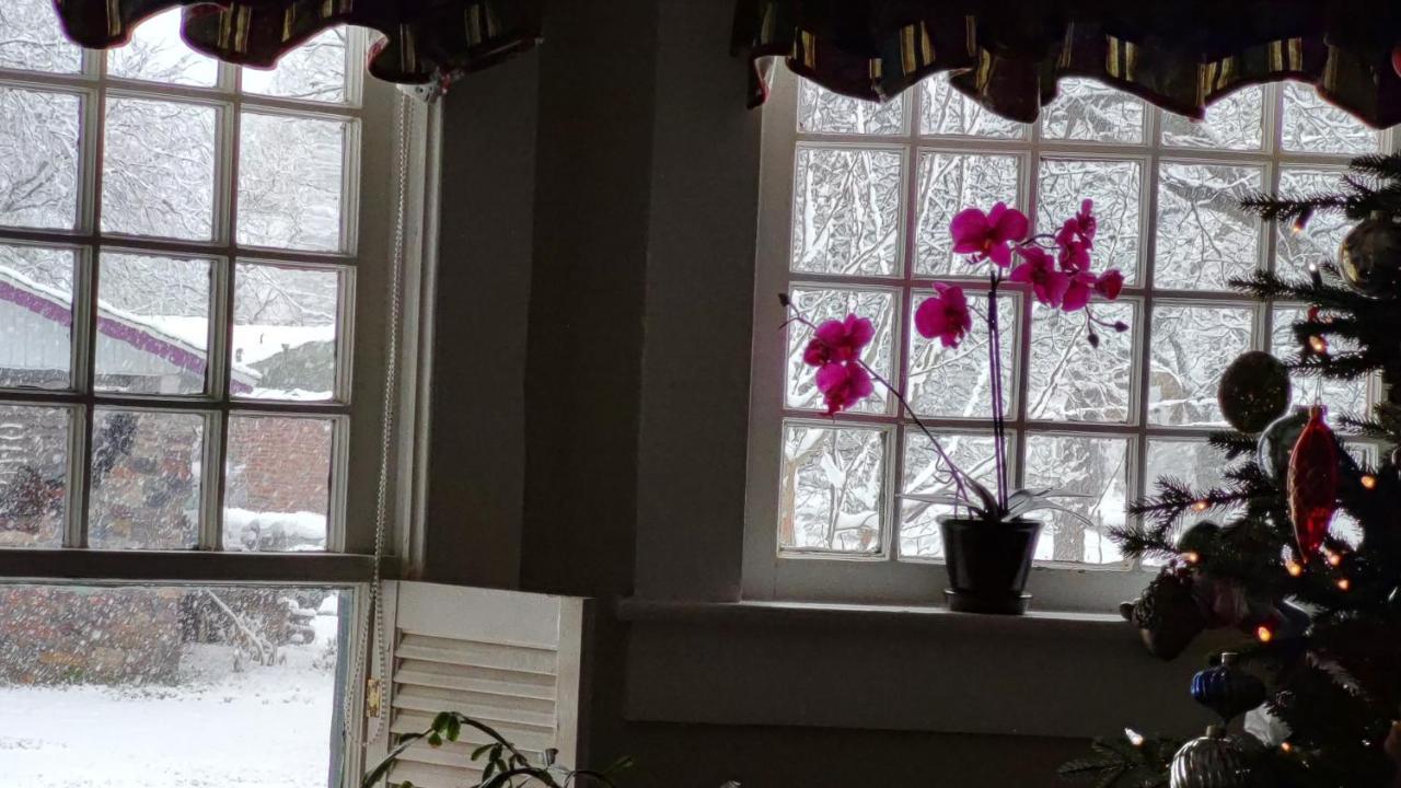 Granbury Gardens Bed And Breakfast מראה חיצוני תמונה