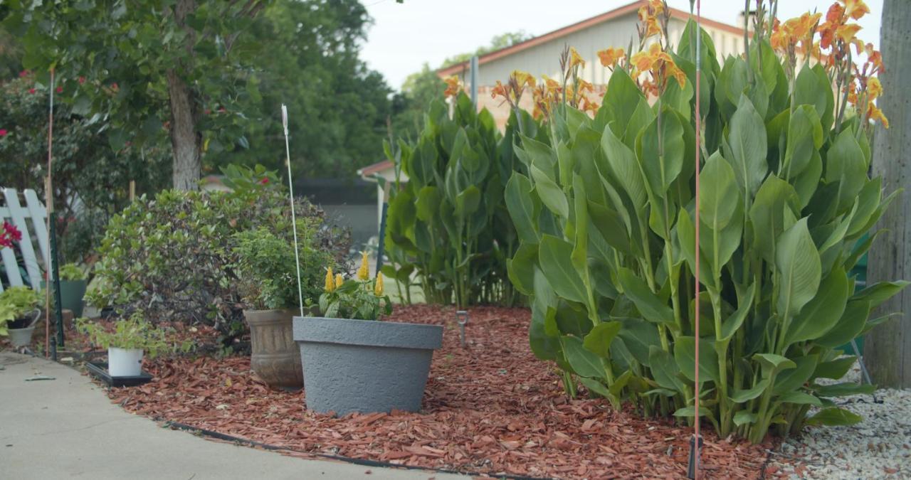 Granbury Gardens Bed And Breakfast מראה חיצוני תמונה